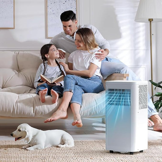 Climatiseur portable – 4 modes, télécommande