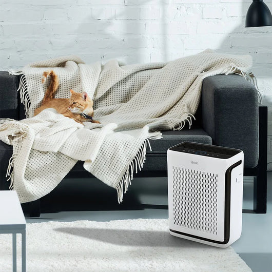 Smart HEPA Air Purifier – Pet Odors & Allergies